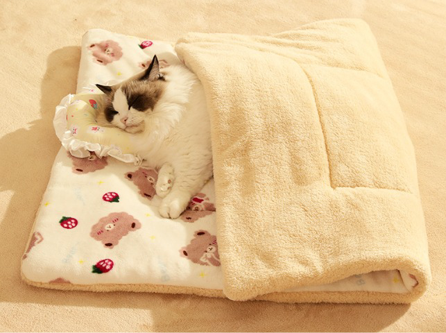 Double Layered Blanket