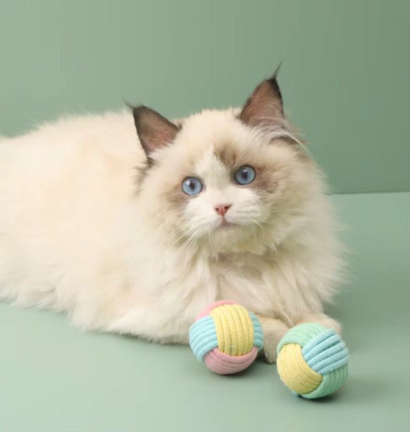 Cat Cotton Ball
