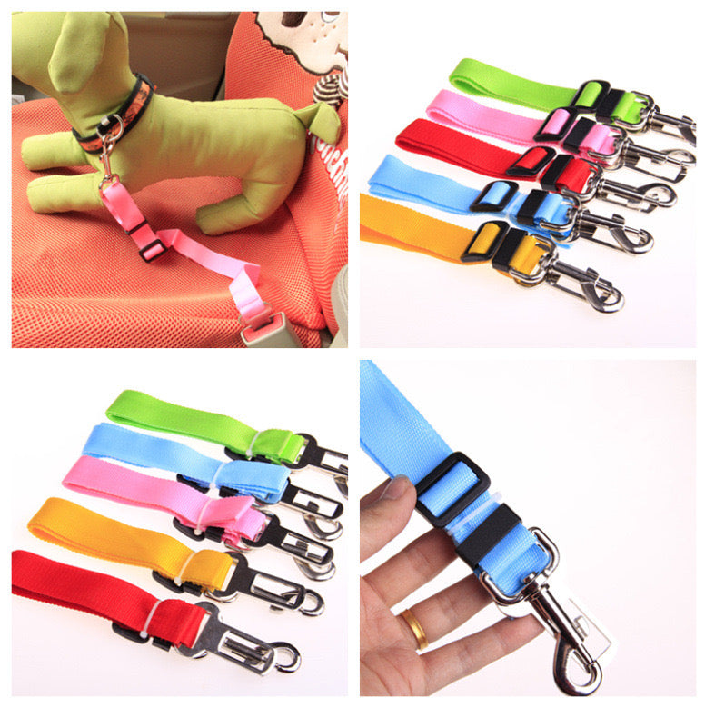 Pet Seat Belt Leash