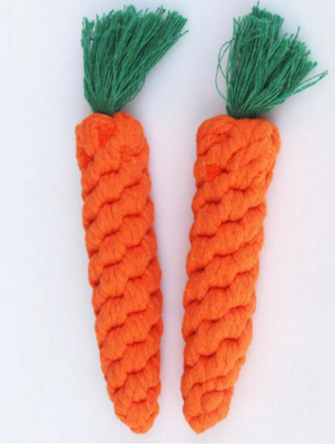 Carrot Chew Toy