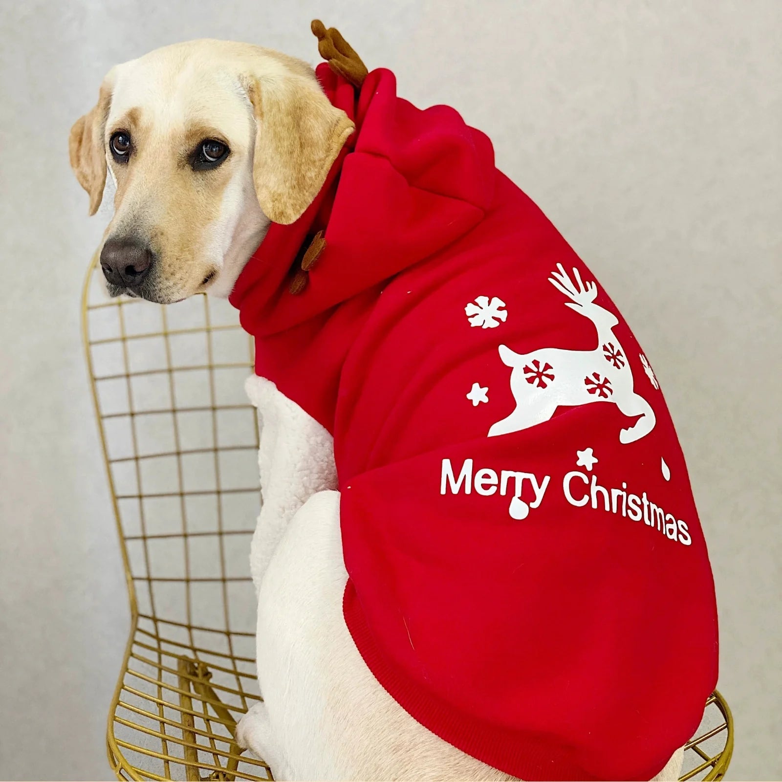 Merry Christmas Reindeer Hoodie