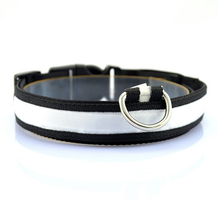 LED Collar