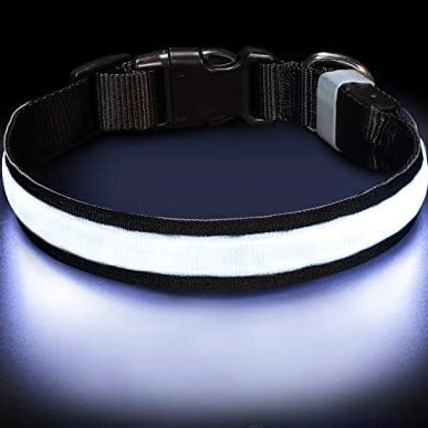 LED Collar