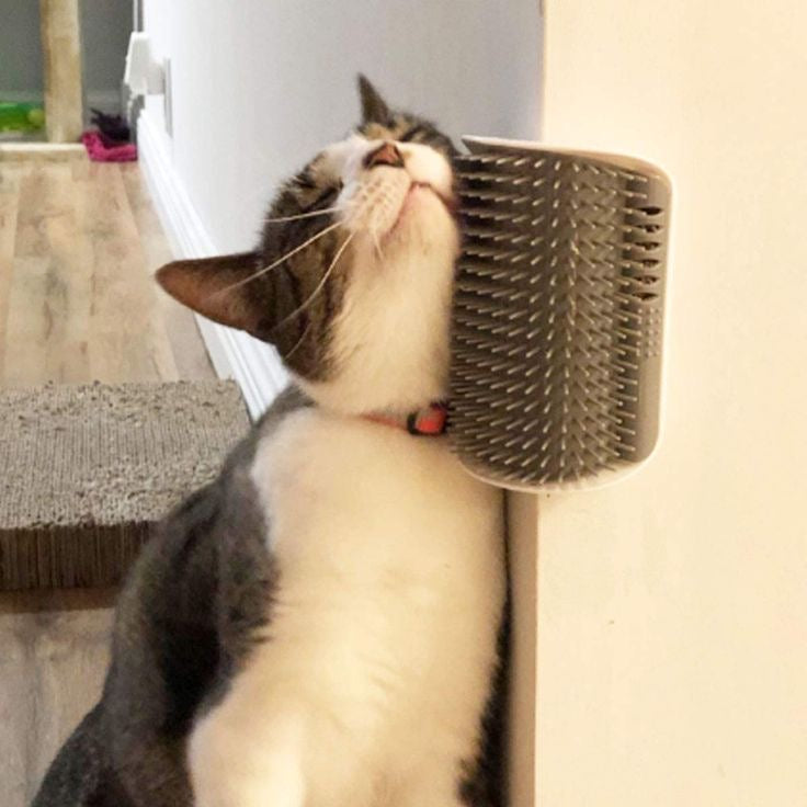 Cat Corner Brush