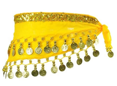 Belly Dance Skirt