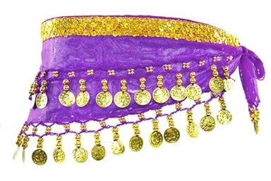 Belly Dance Skirt