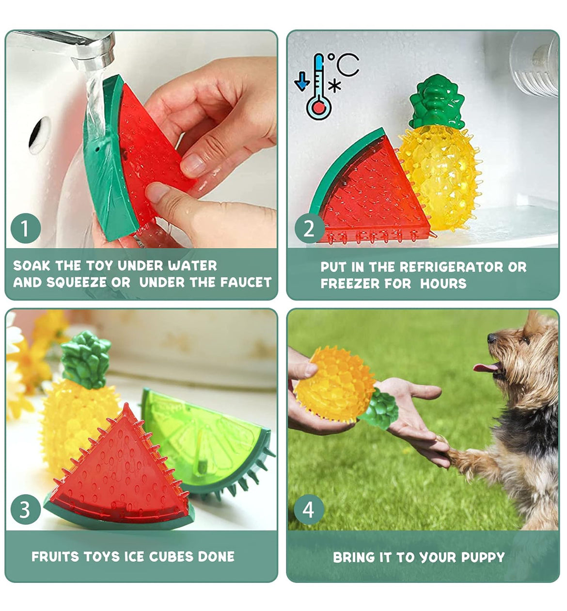Frozen Fruit Chew Toy