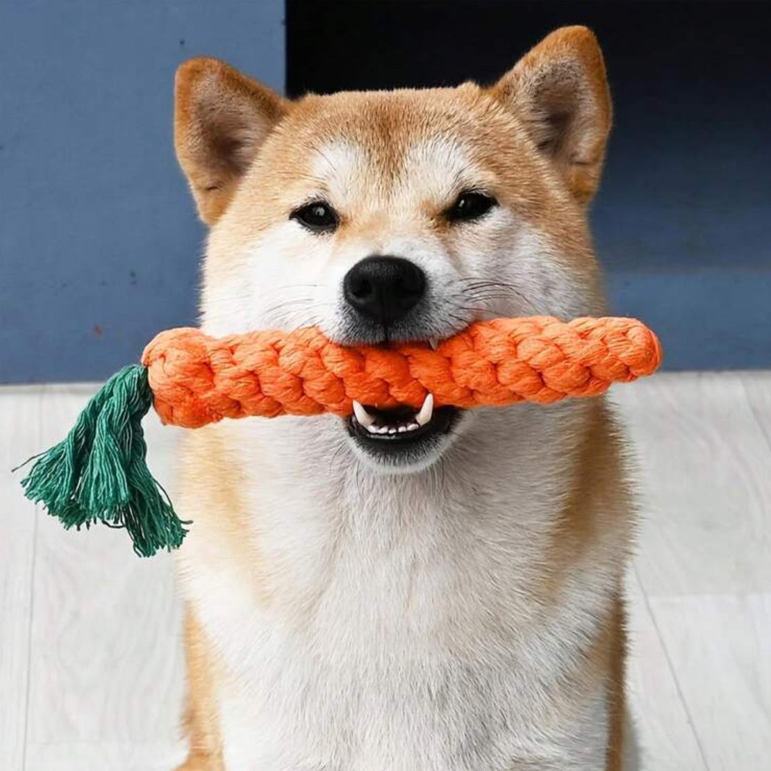 Carrot Chew Toy