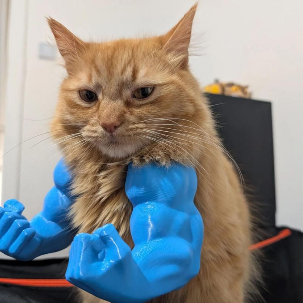 Cat Muscle Arms