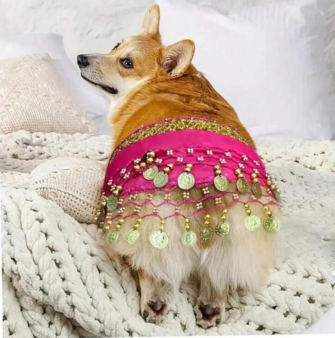 Belly Dance Skirt