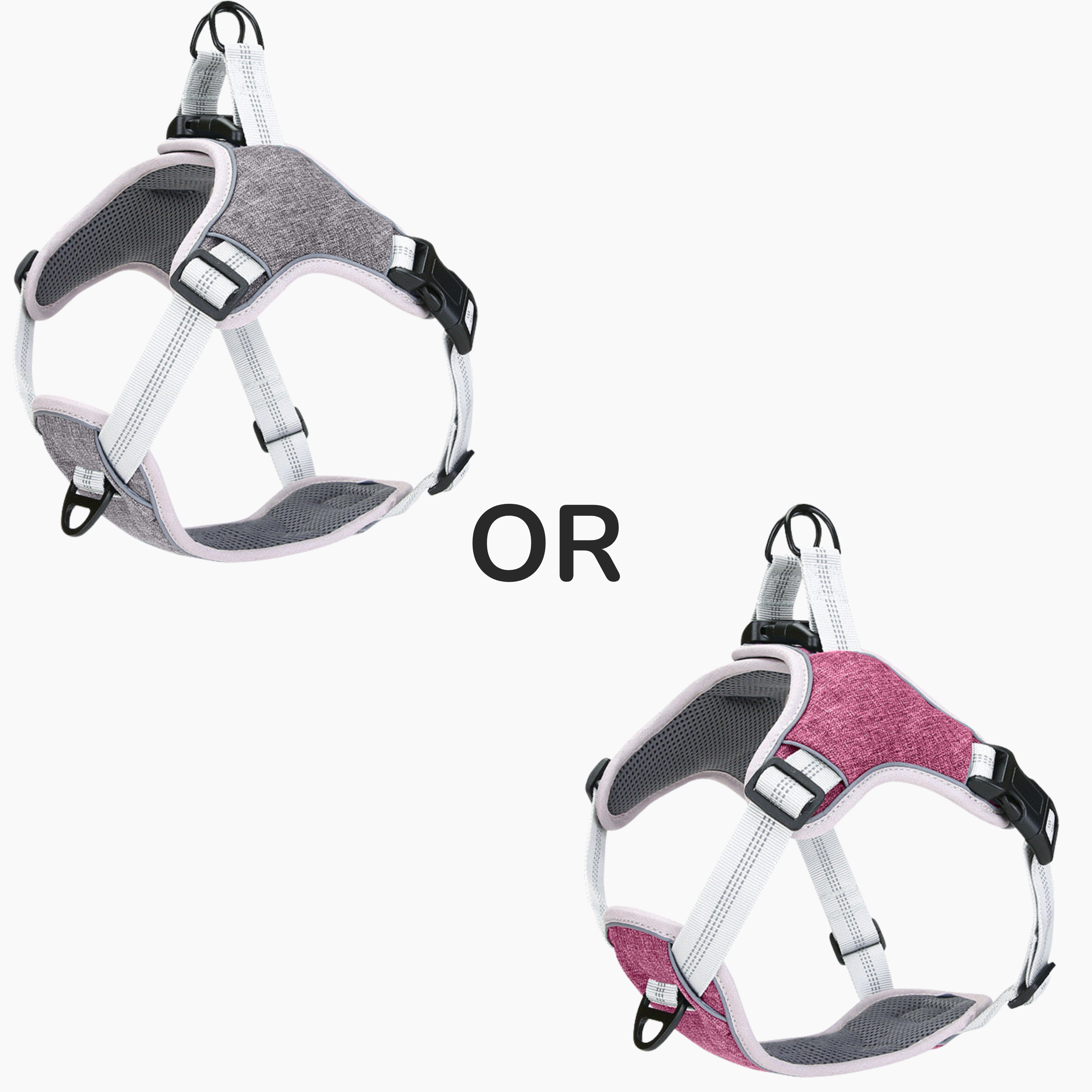 Deluxe Walking Bundle