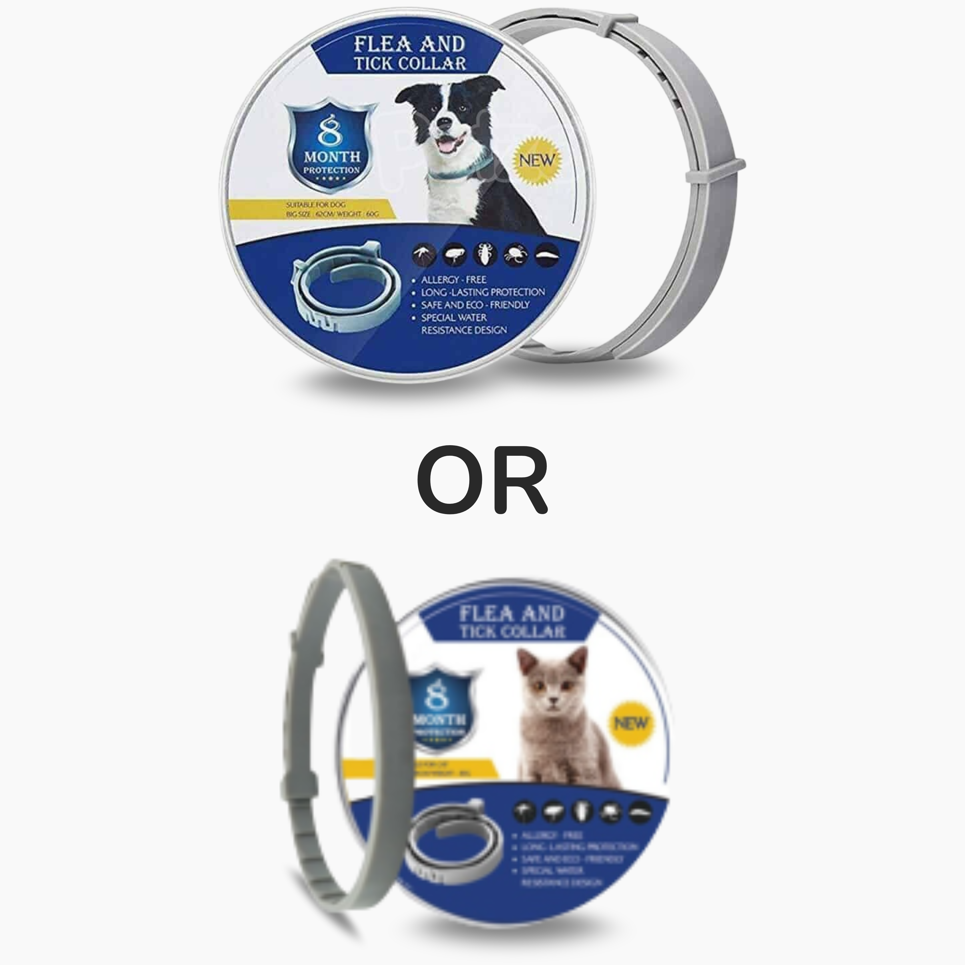 Deluxe Walking Bundle