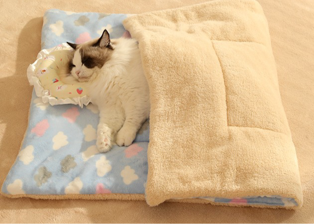 Double Layered Blanket
