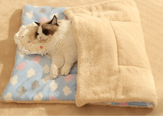 Double Layered Blanket