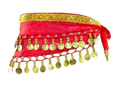 Belly Dance Skirt