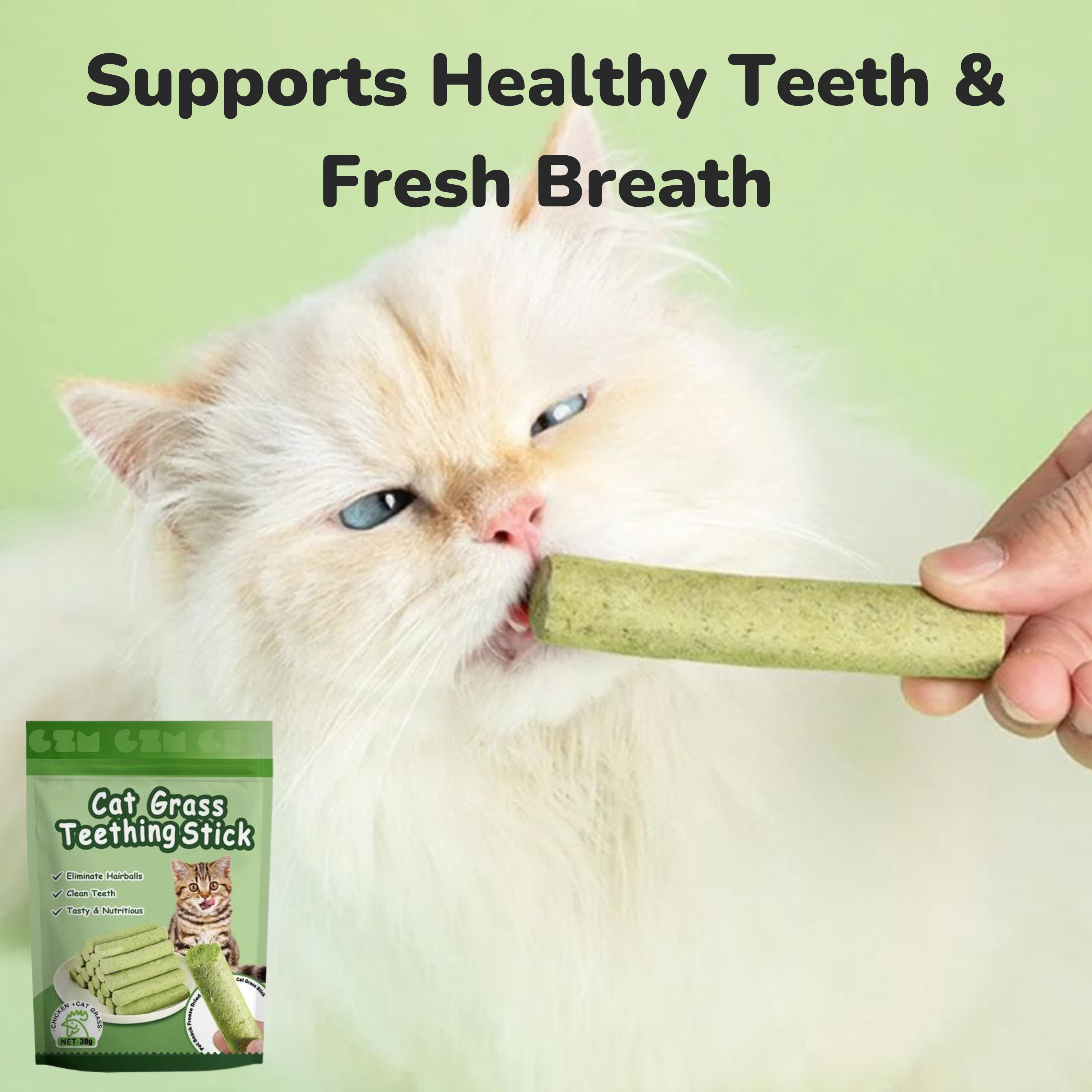 Cat Grass Teething Sticks - 6pcs/Bag