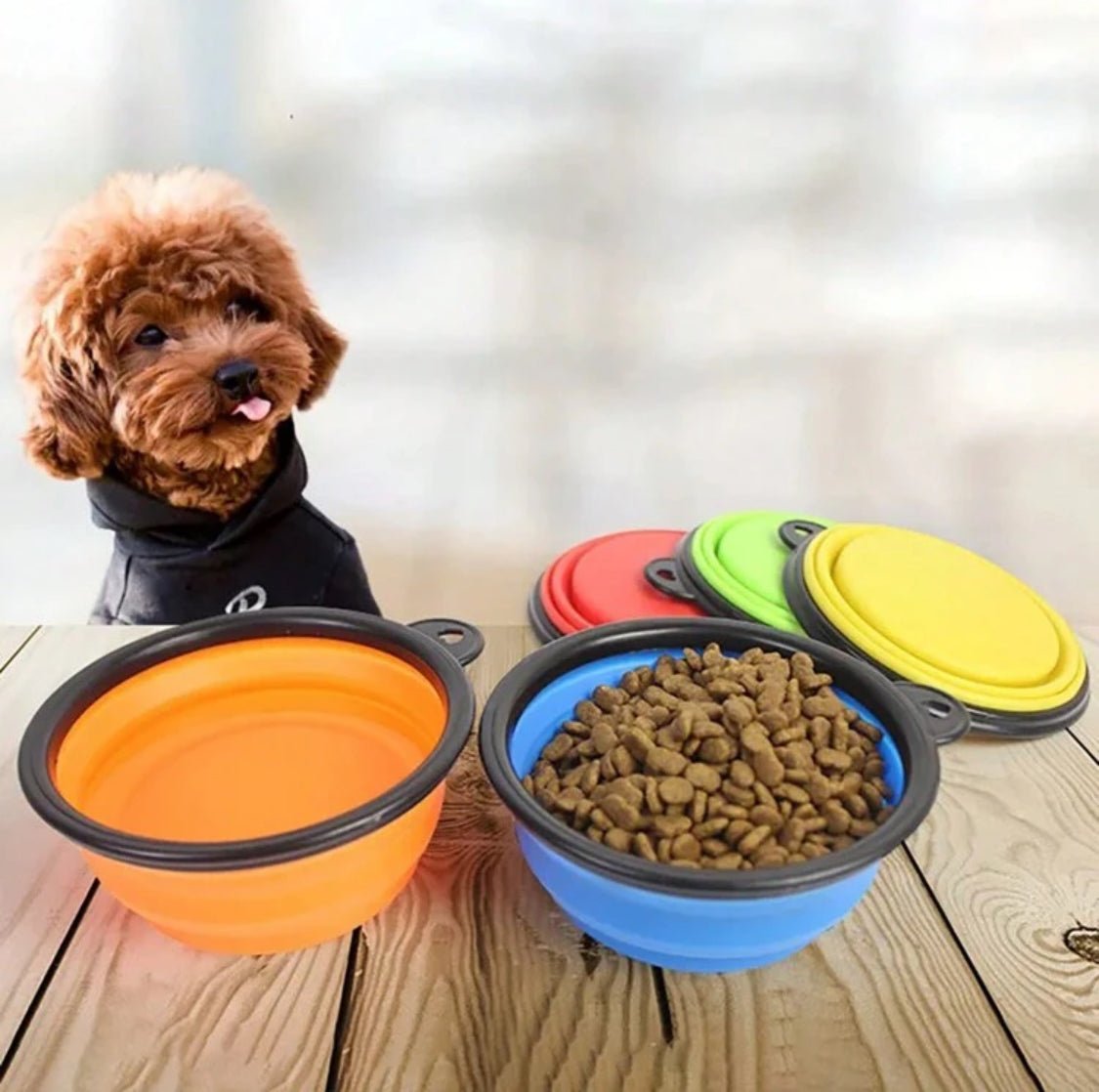 Portable Collapsible Bowl