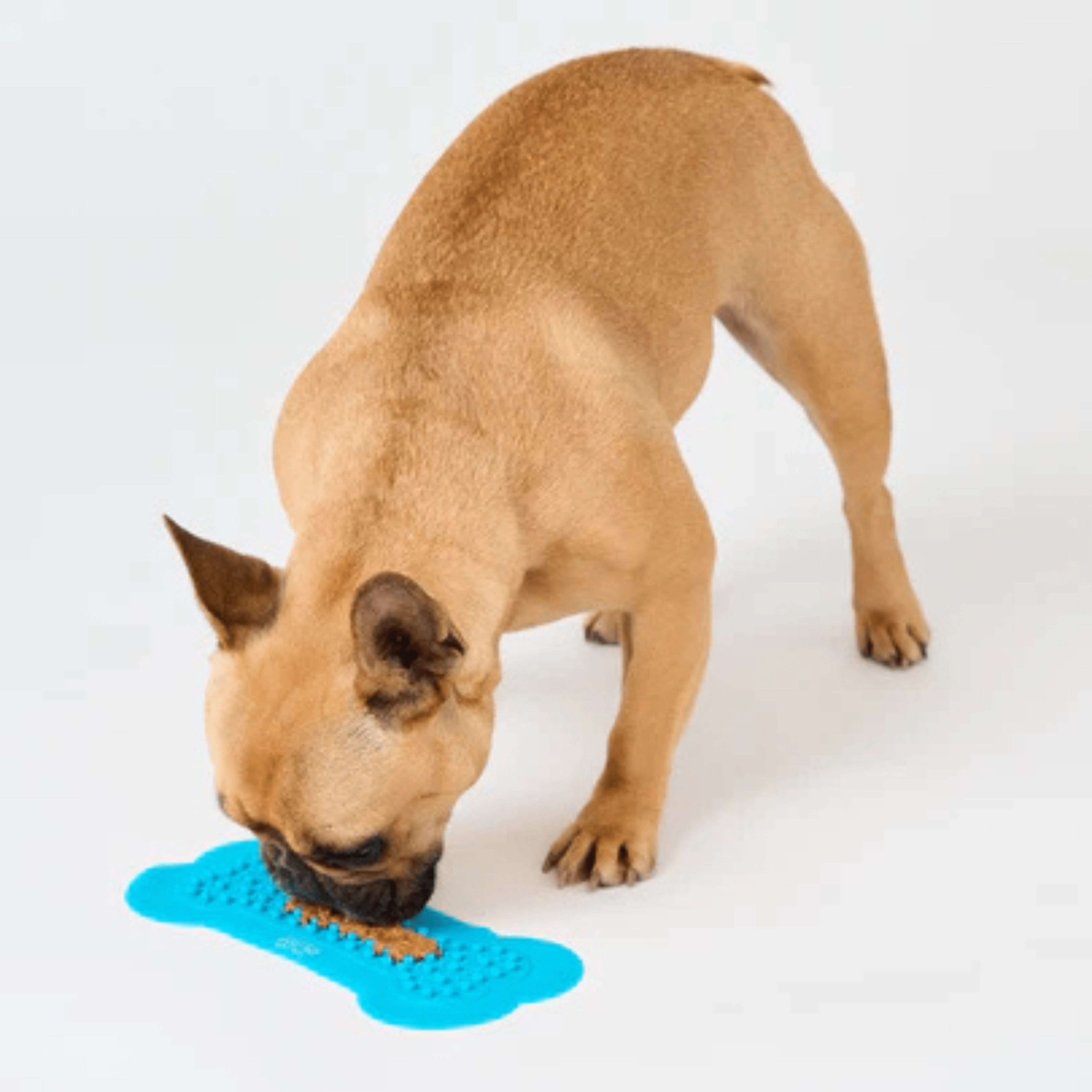 Lick Mats & Bowls