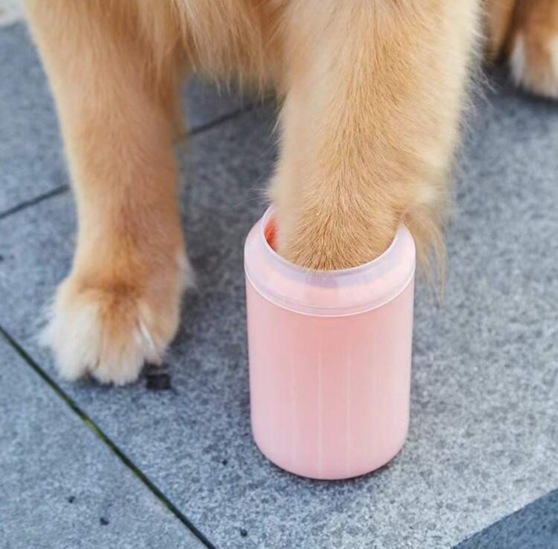 Paw Cleaner