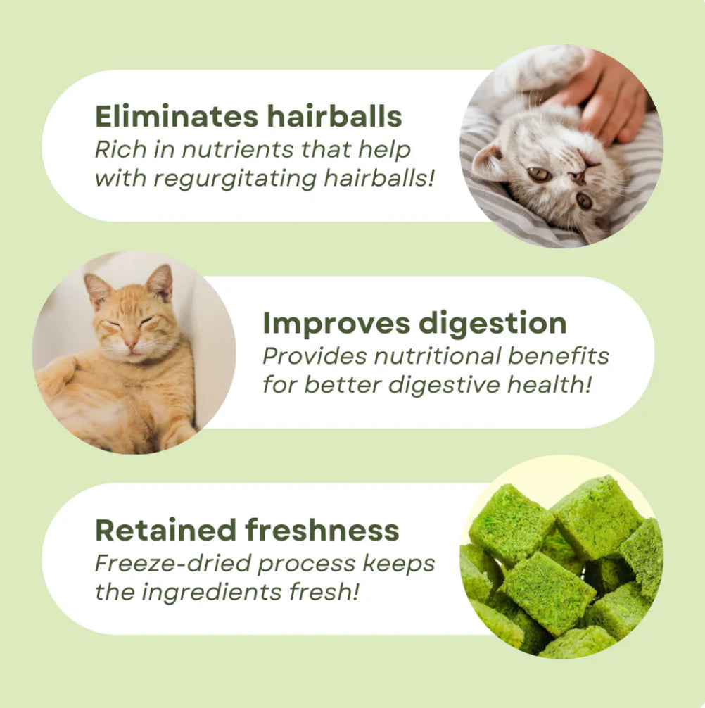 Freeze-Dried Cat Grass Bites