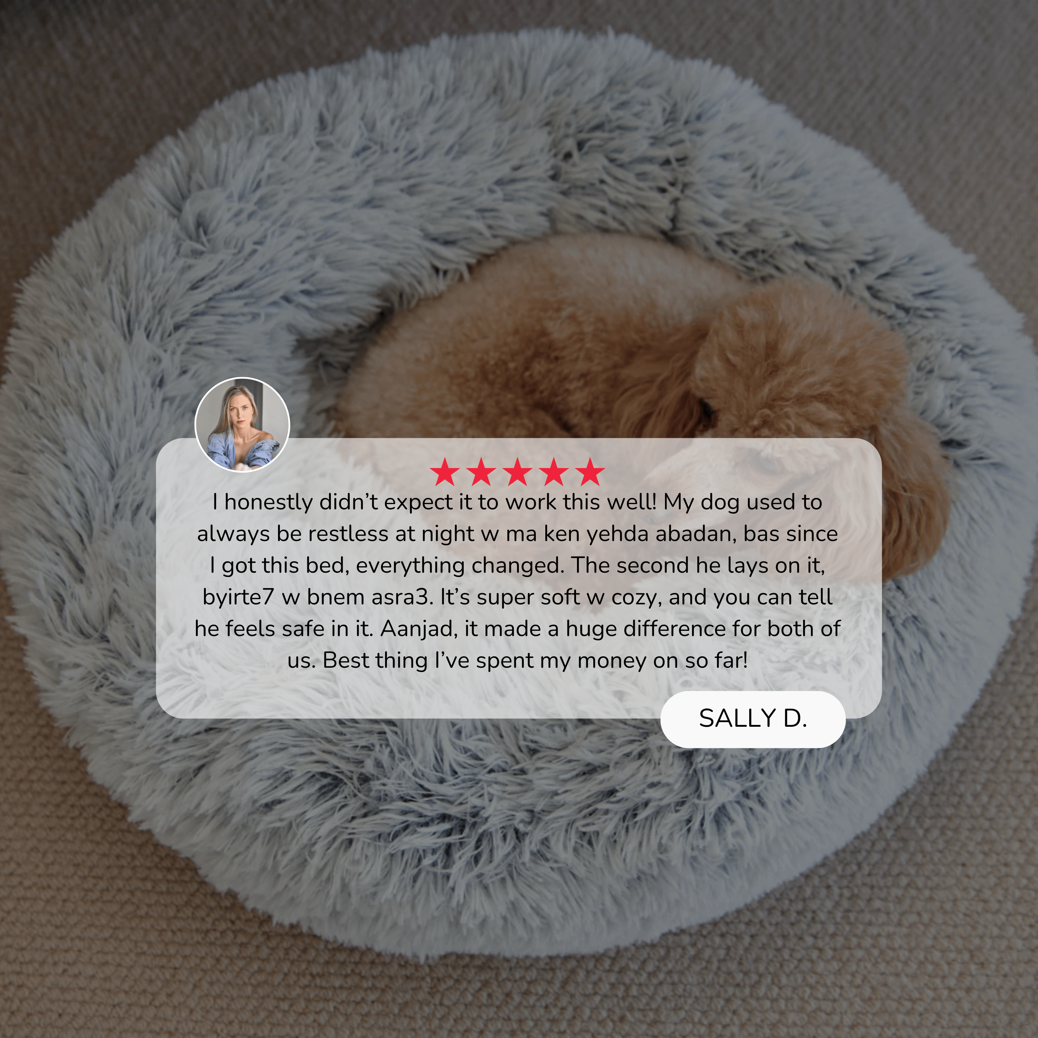 Calming Pet Bed - Anti-Anxiety