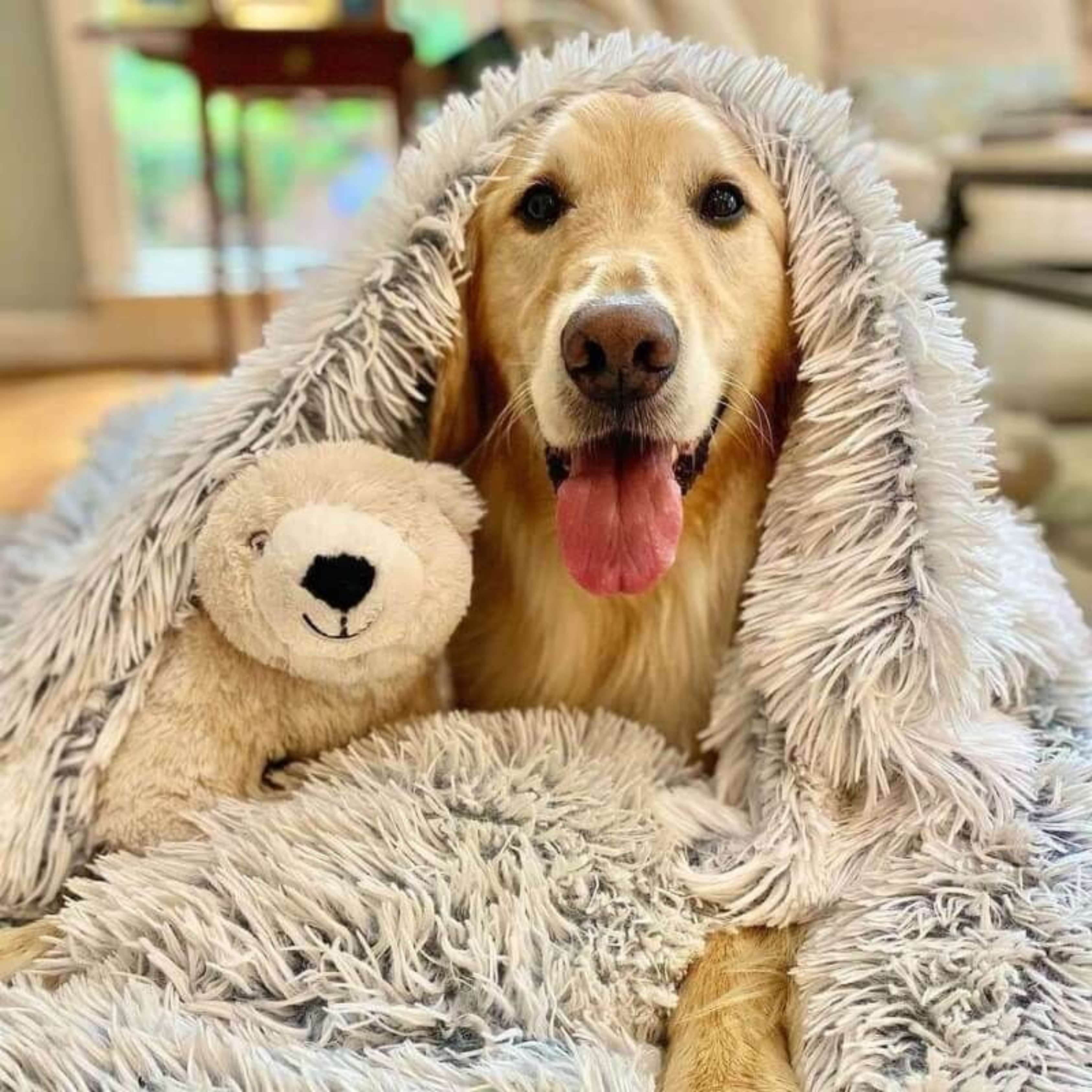 Calming Pet Blanket - Anti-Anxiety