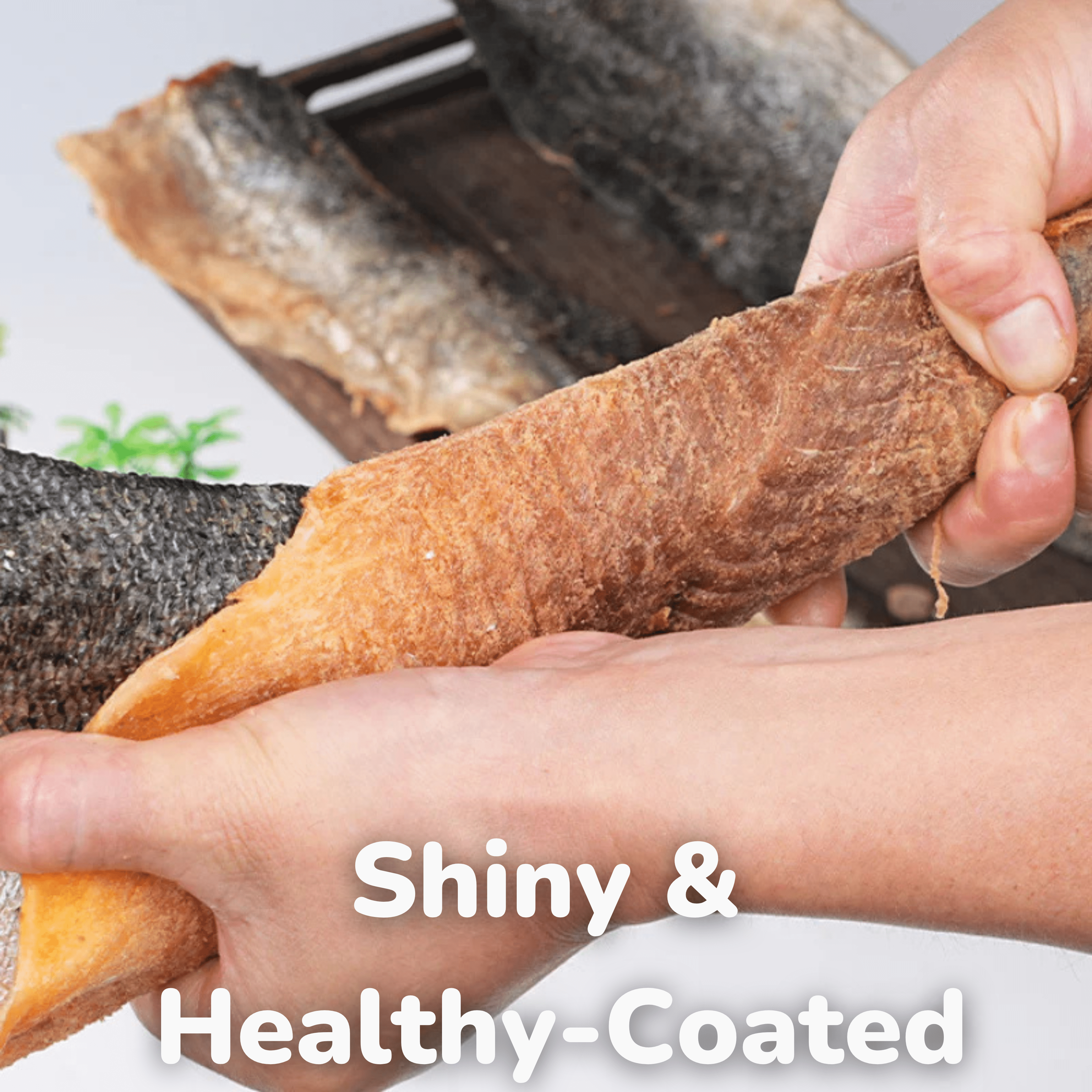 Salmon Skin Chew