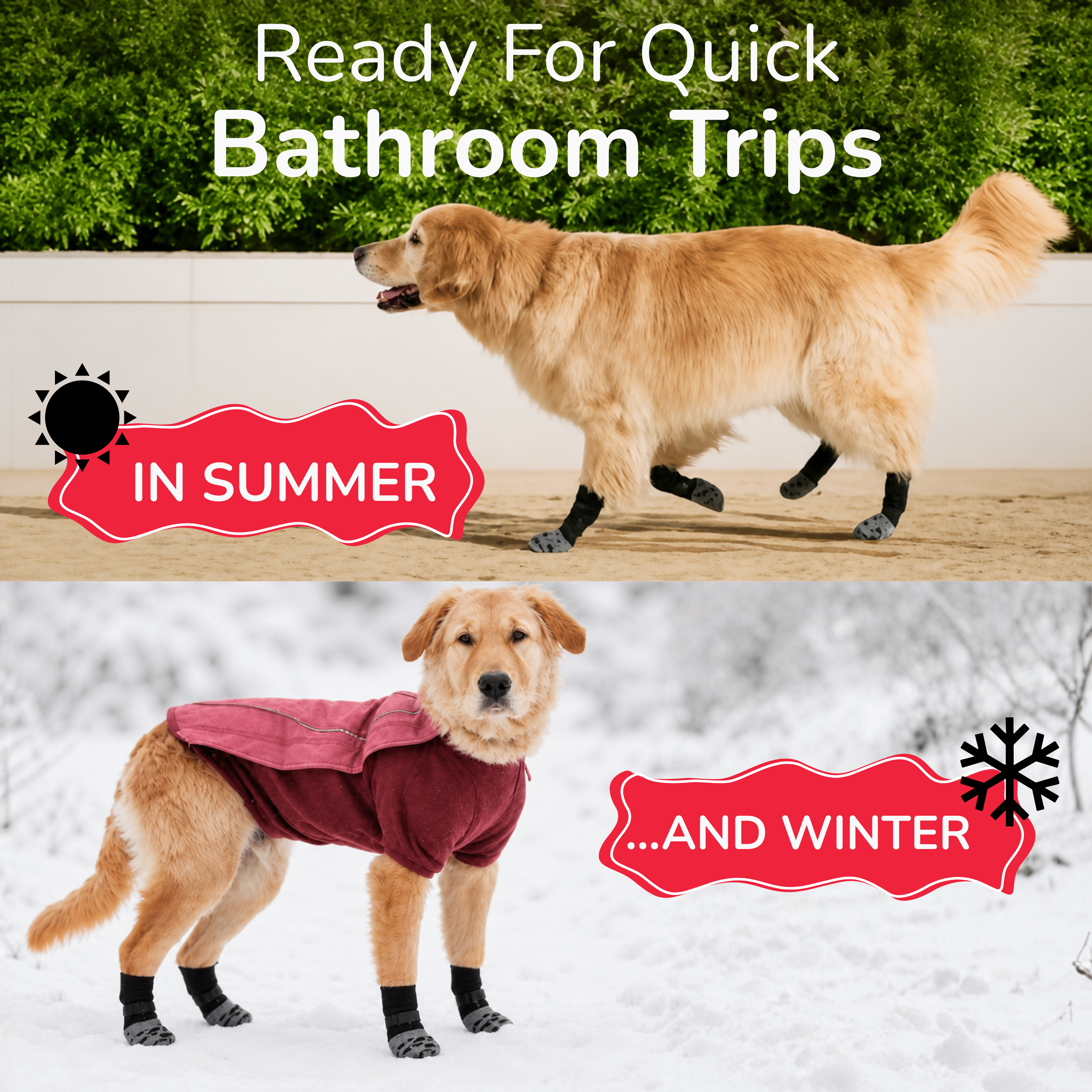 Premium Non-Slip Dog Socks