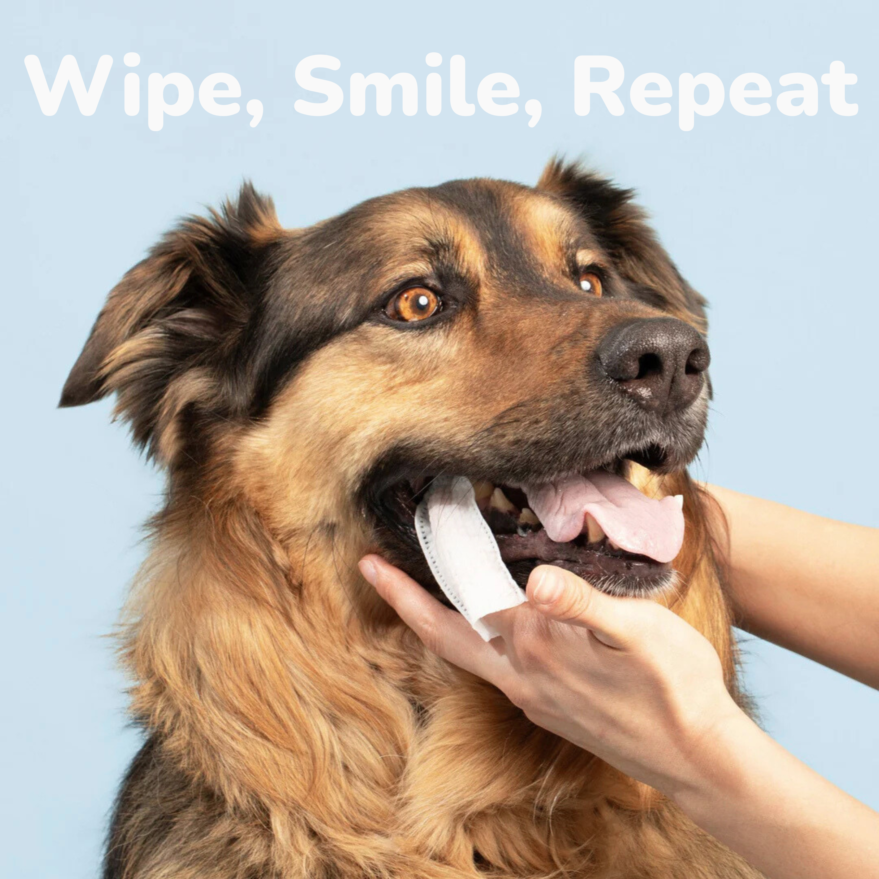 Dental Care Wipes