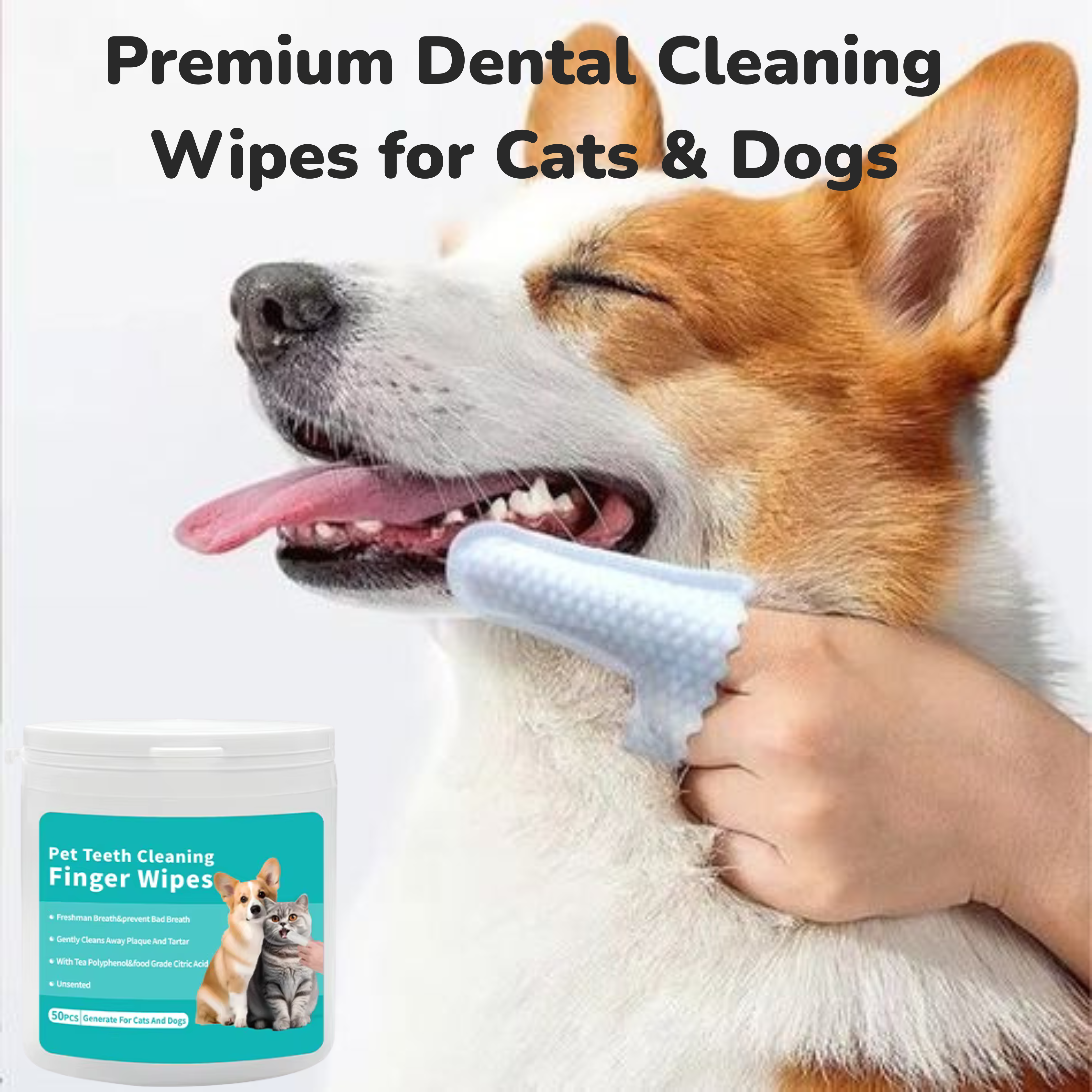 Dental Care Wipes
