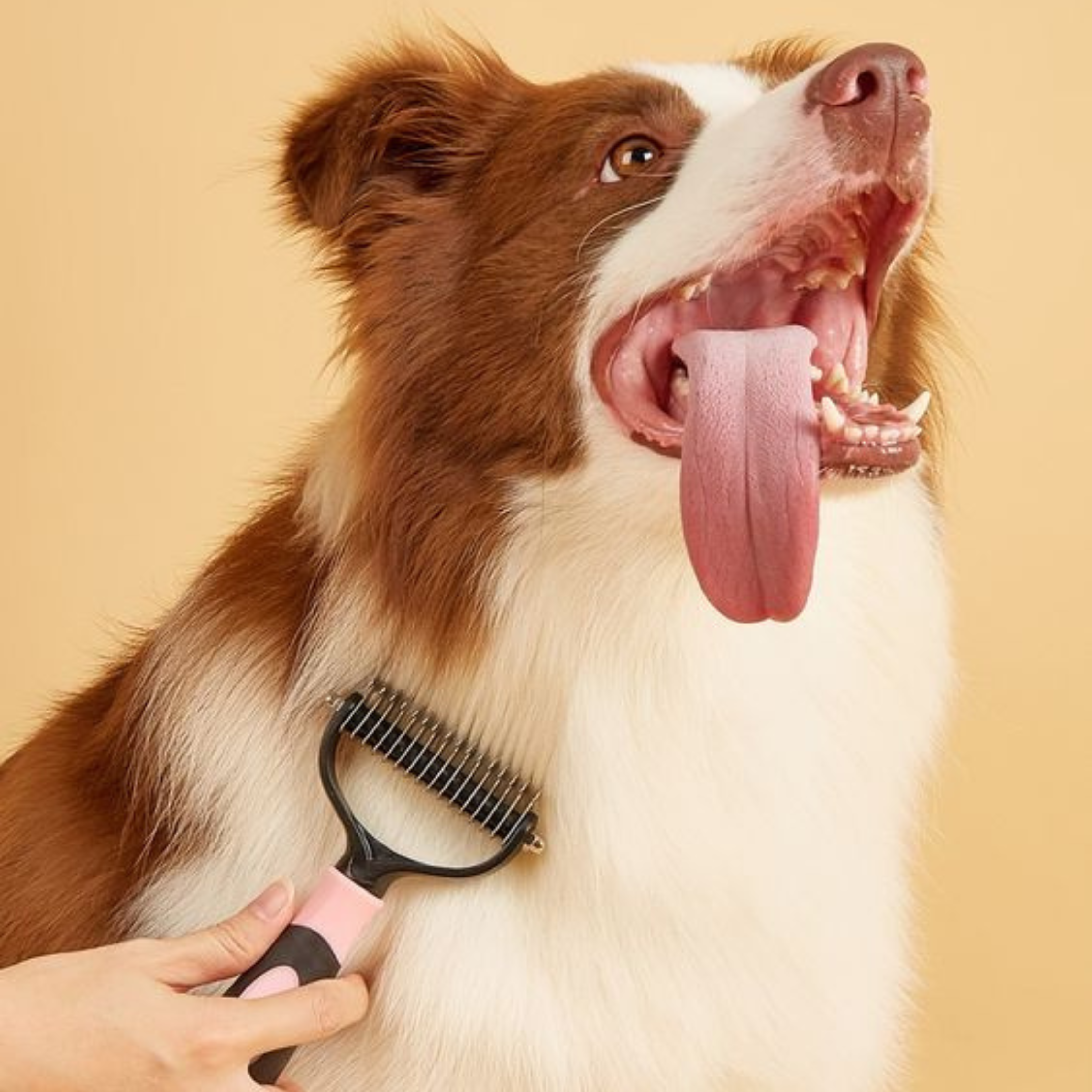 Undercoat Rake Brush