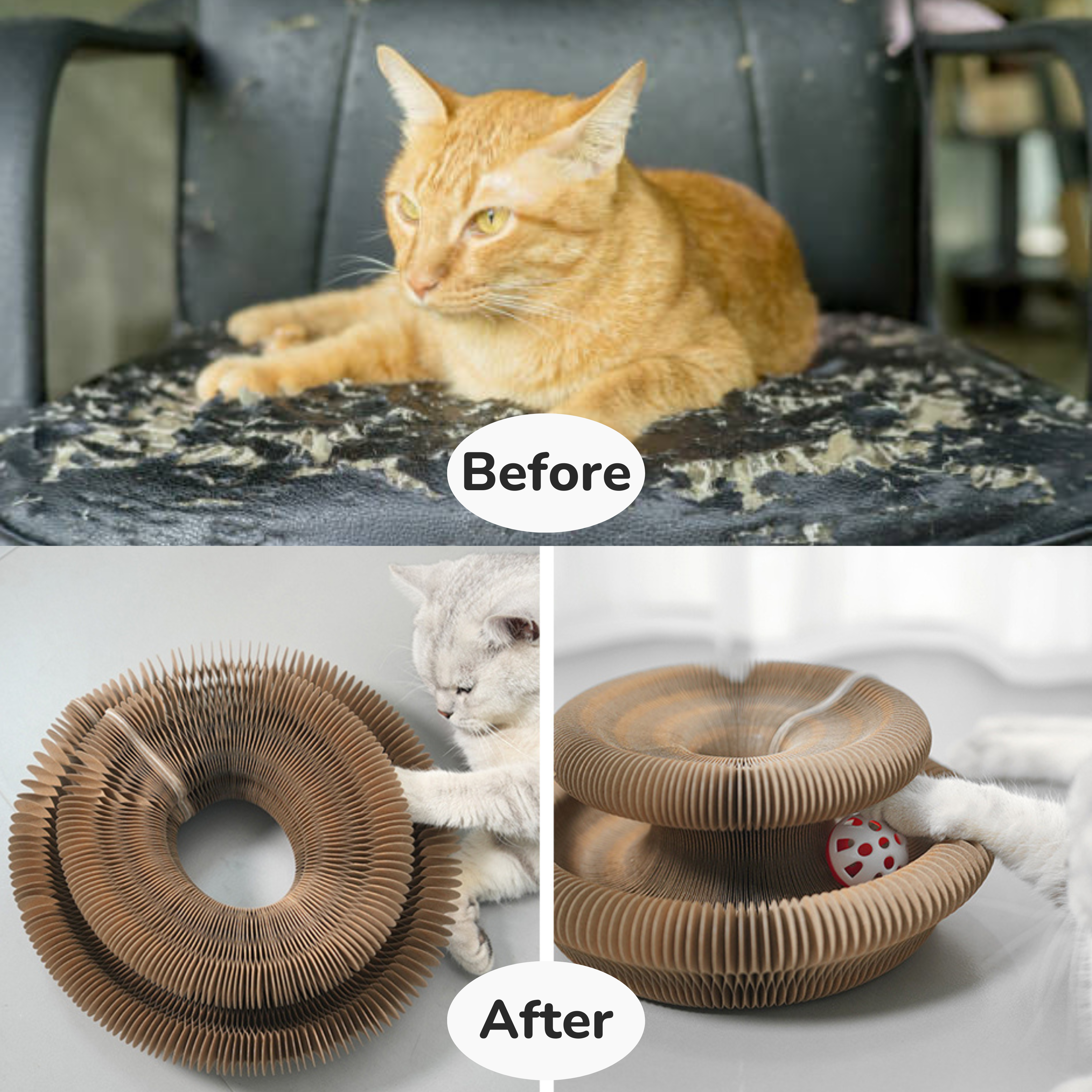 Cat Donut Scratcher Toy + Bell Ball