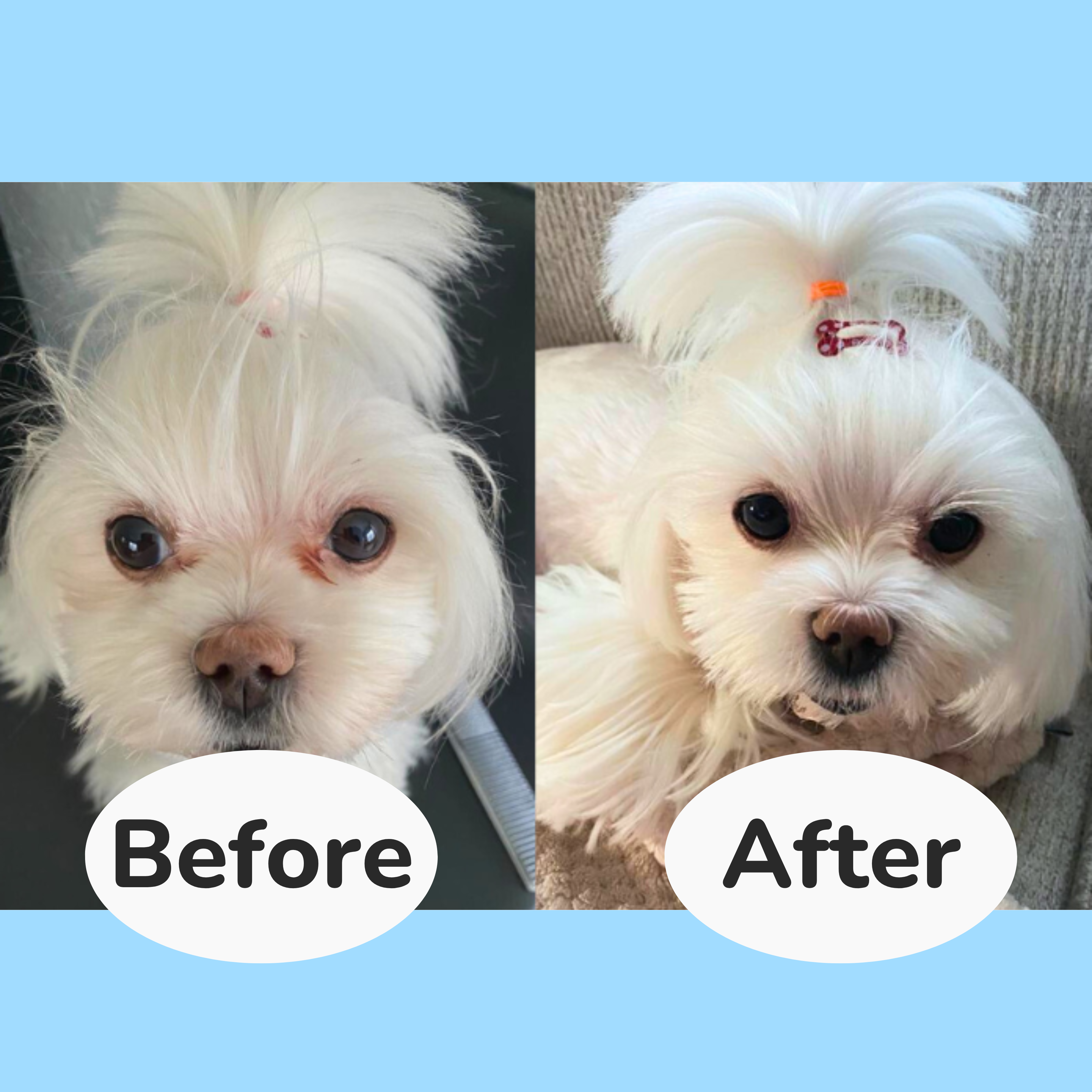 Tear Stain Remover Wipes