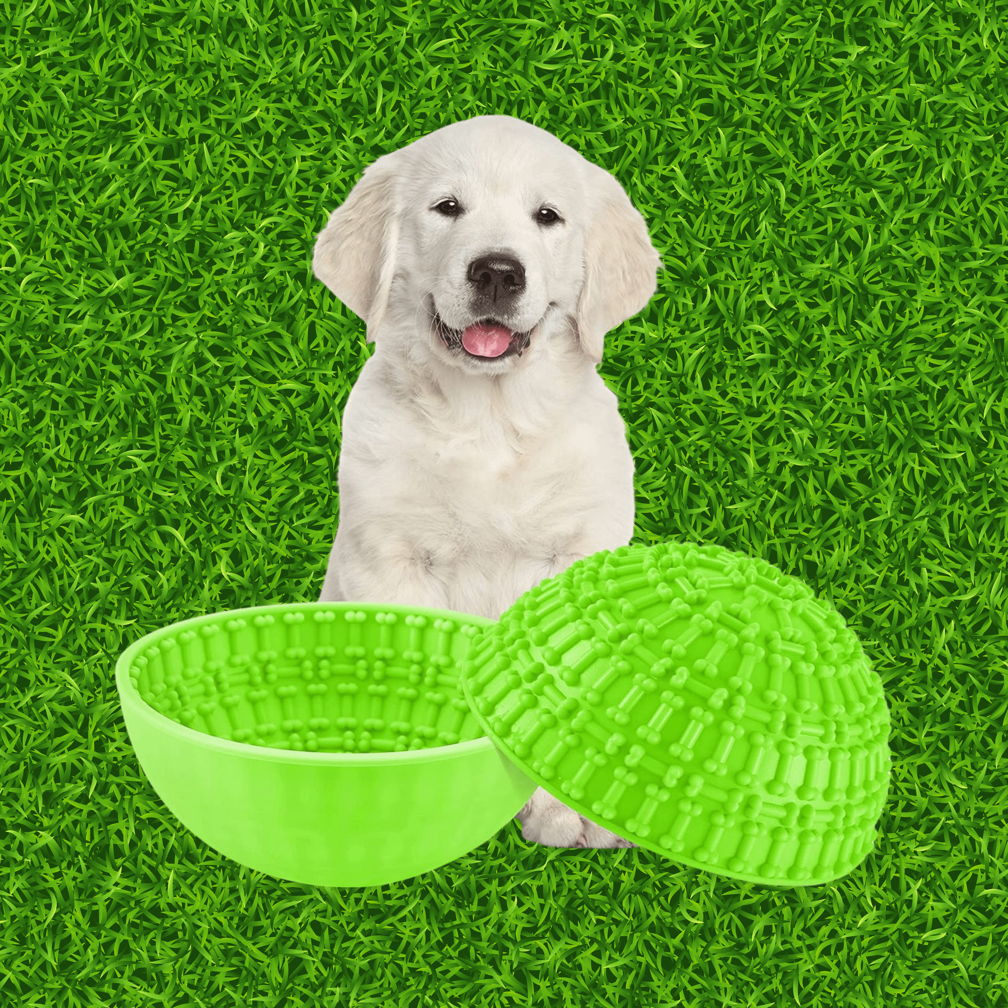 Lick Mats & Bowls