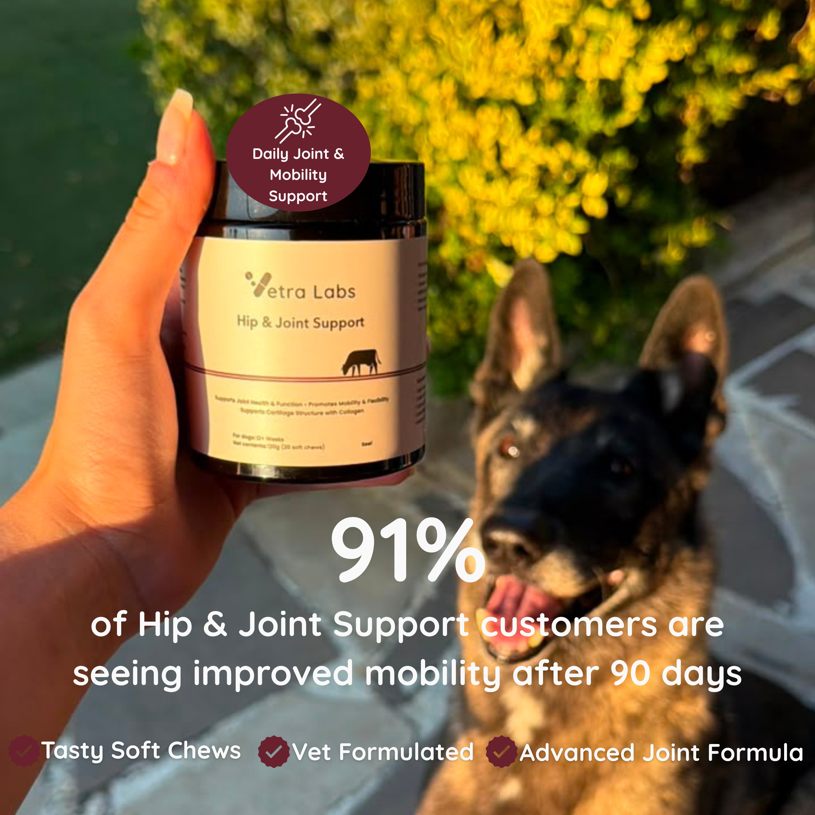 Vetra Labs™ - Hip & Joint Support