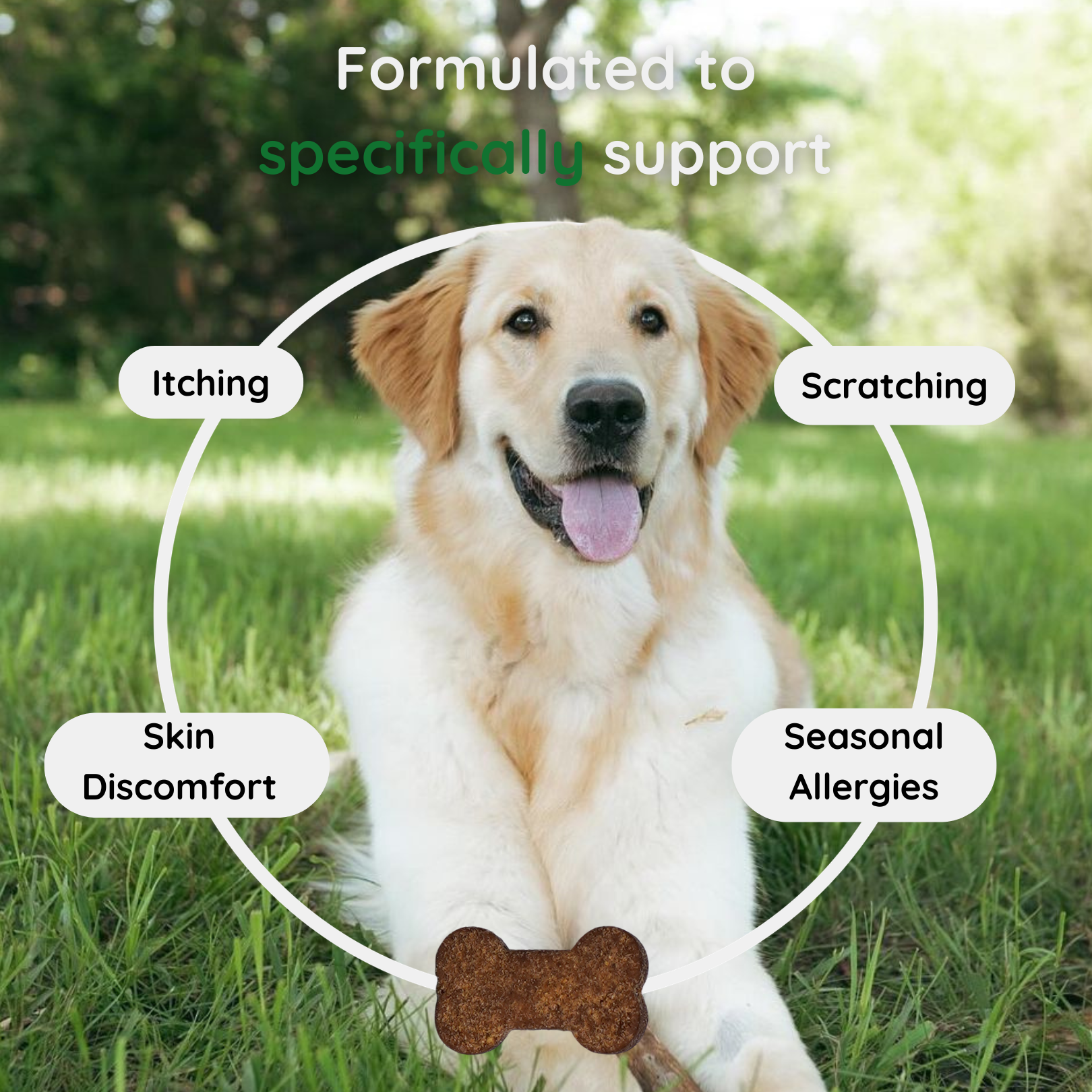 Vetra Labs™ - Itch & Allergy Relief