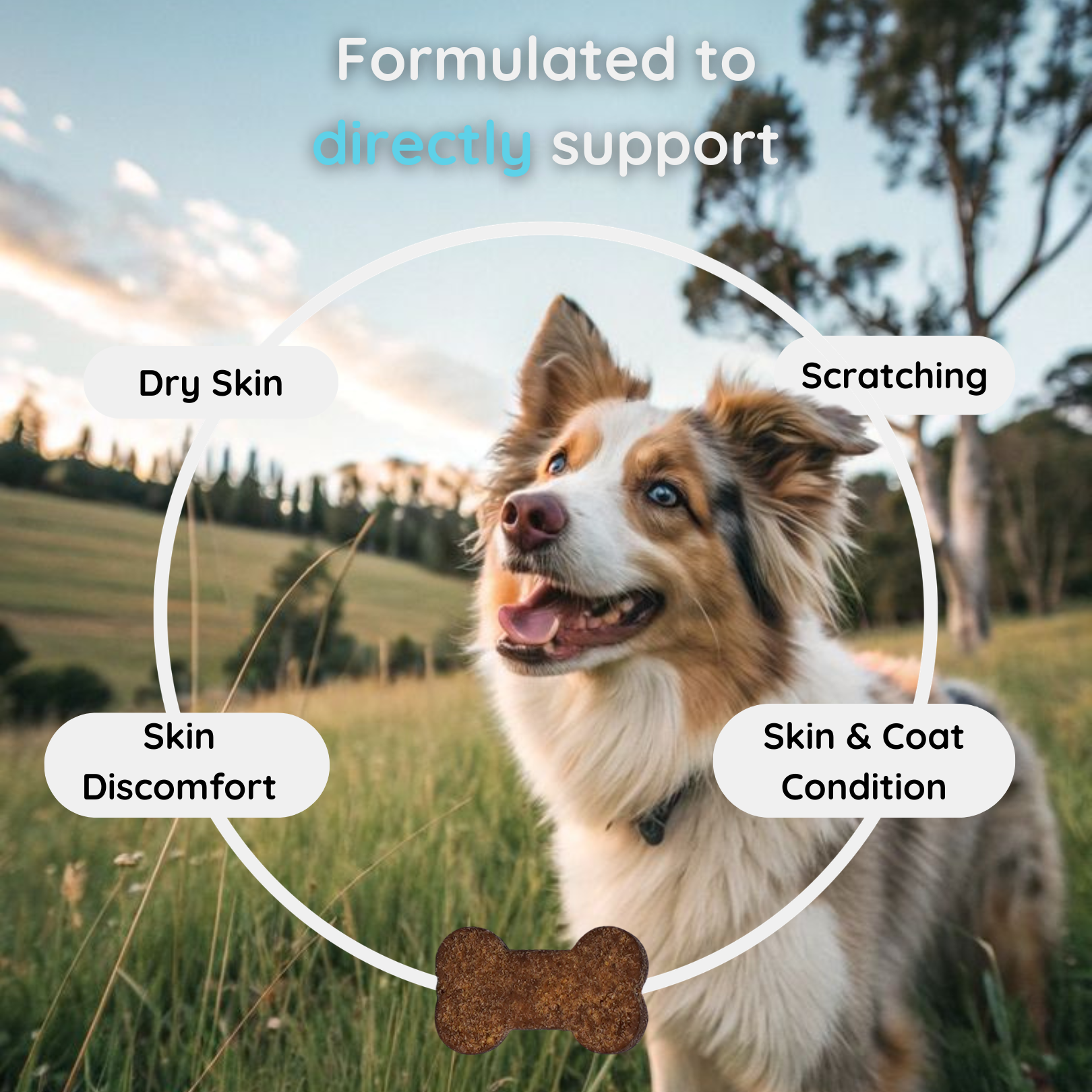 Vetra Labs™ - Skin & Coat Support