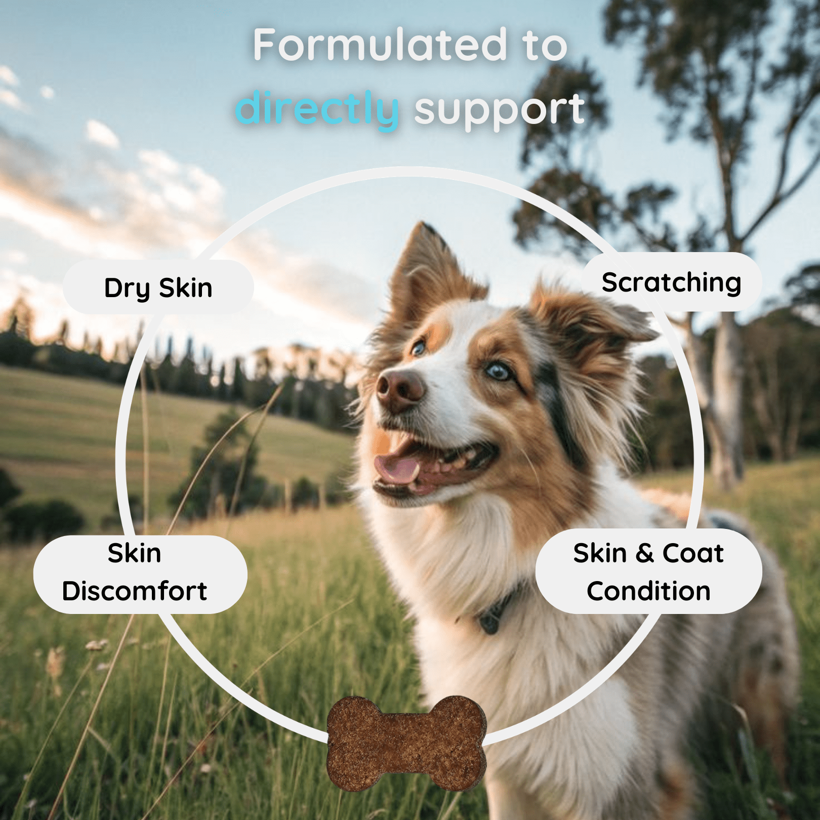 Vetra Labs™ - Skin & Coat Support