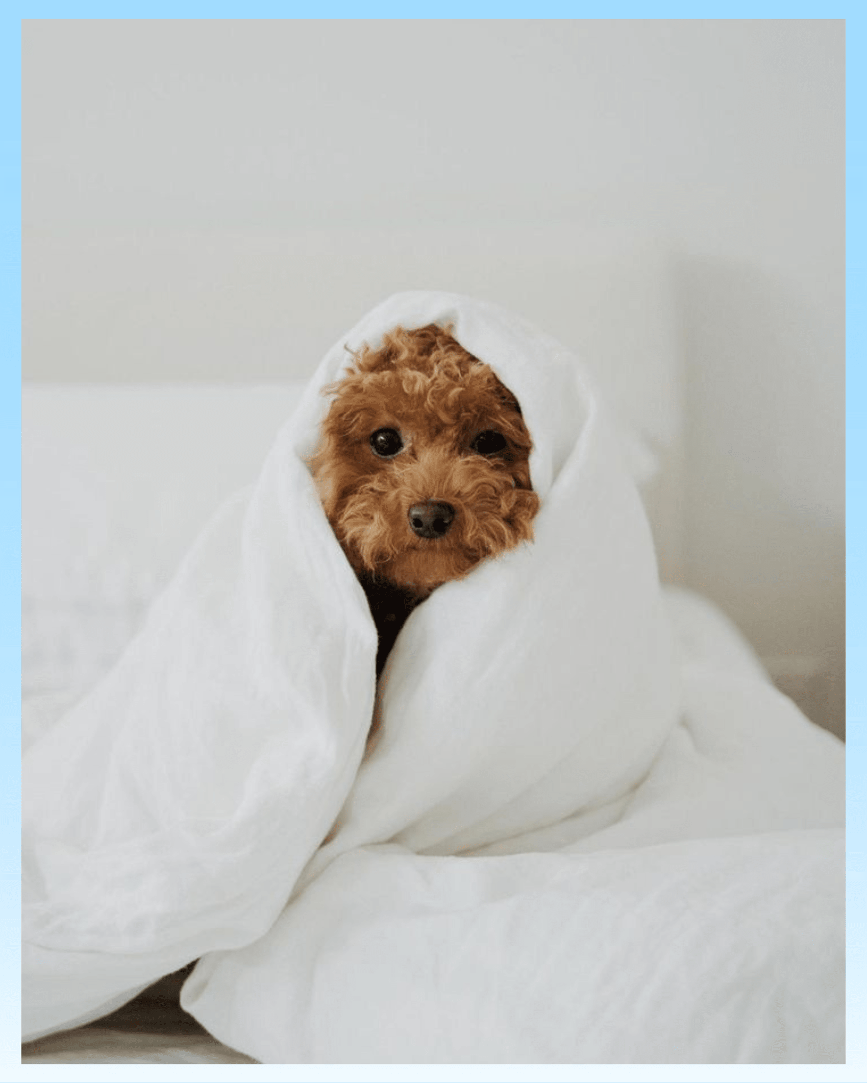 Get Cozy