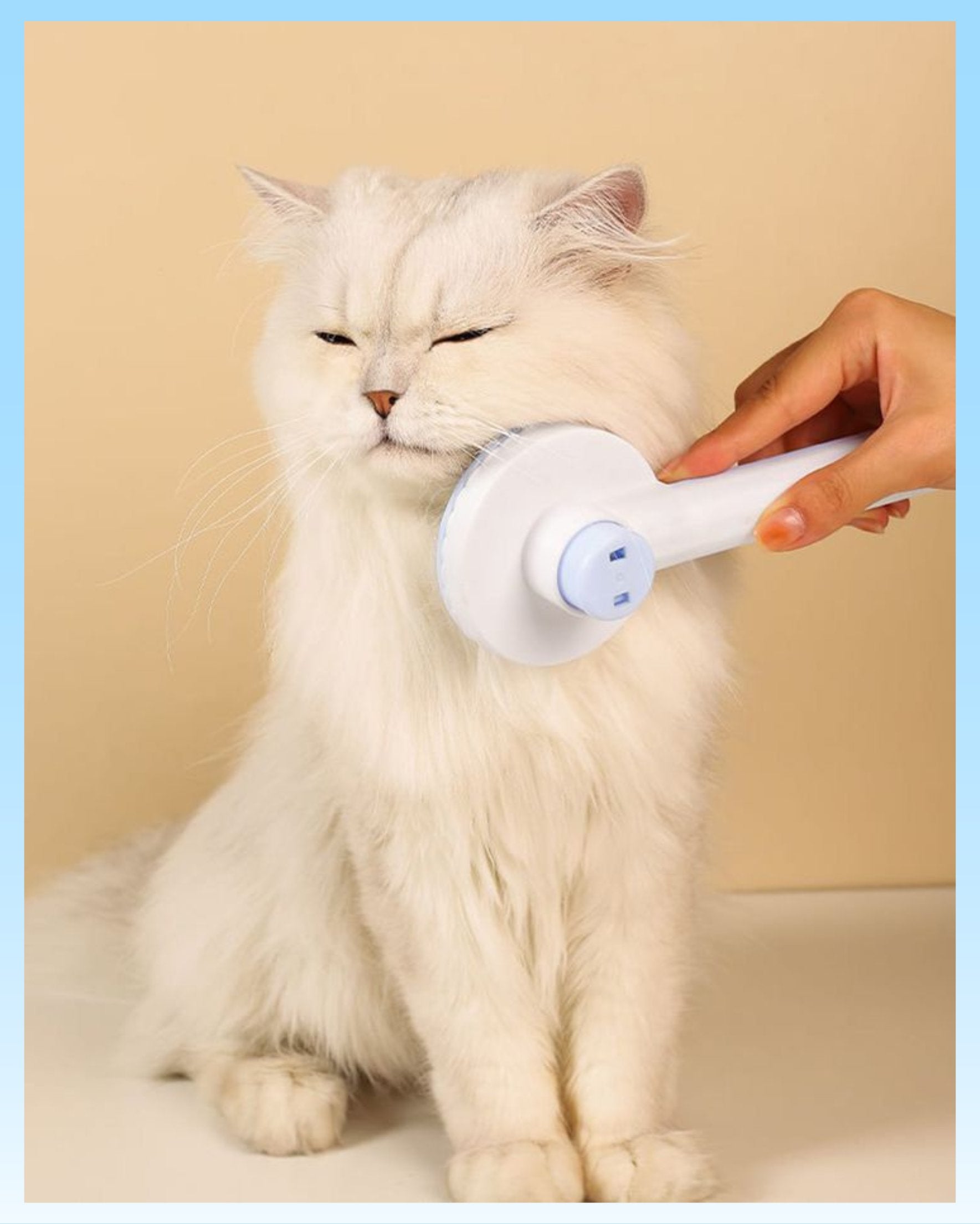 Grooming