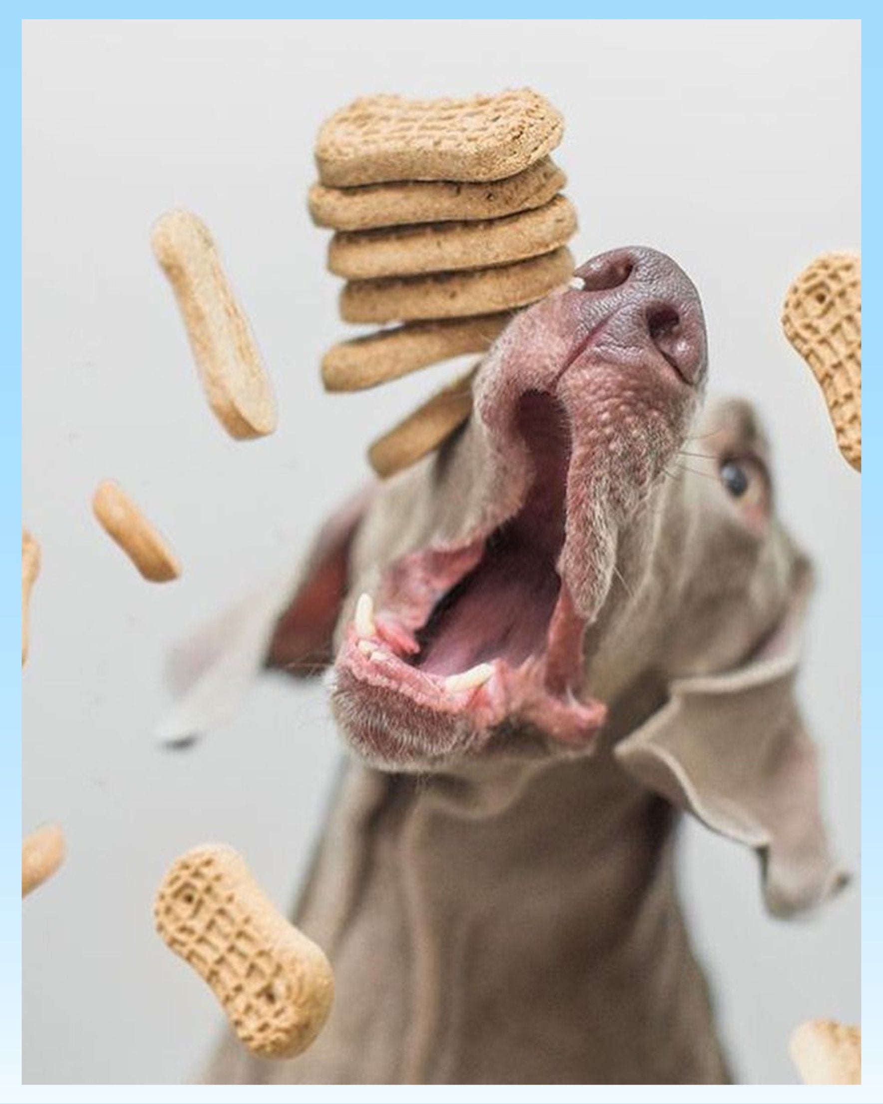 Treats