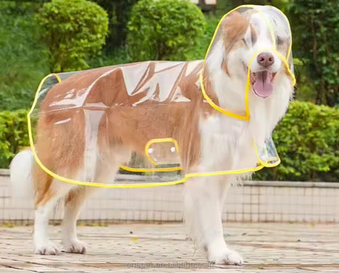 Rain Coat