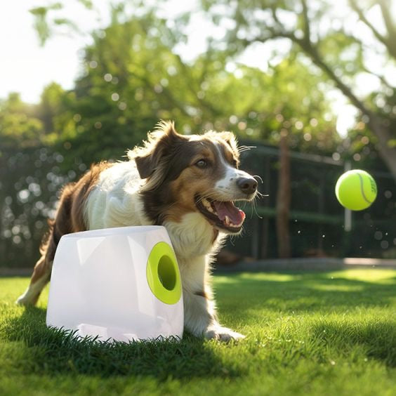 Automatic Tennis Ball Launcher + 3 Balls