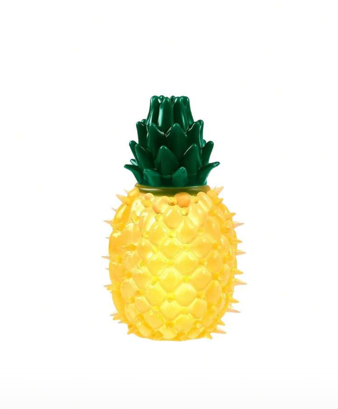 Frozen Fruit Chew Toy