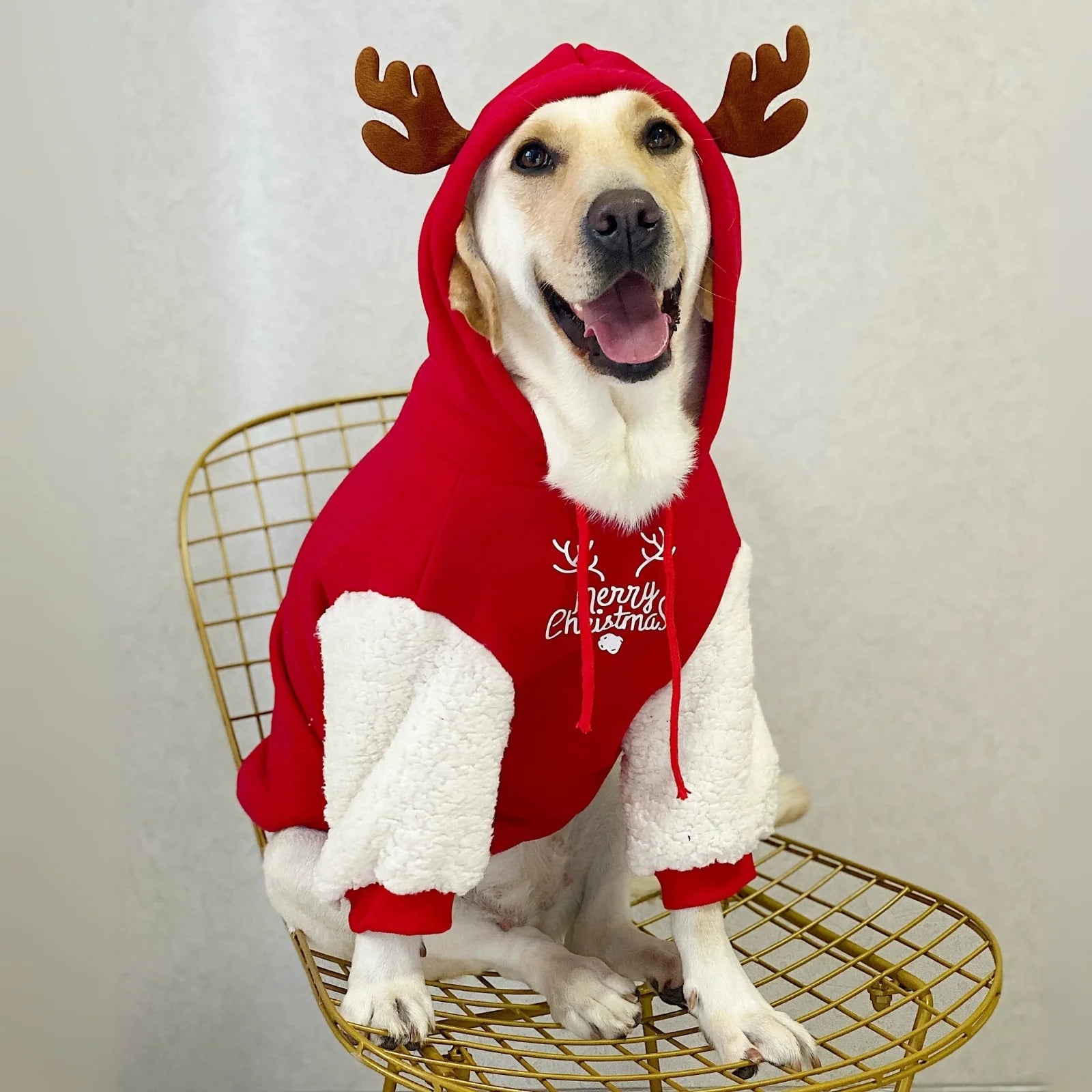 Merry Christmas Reindeer Hoodie