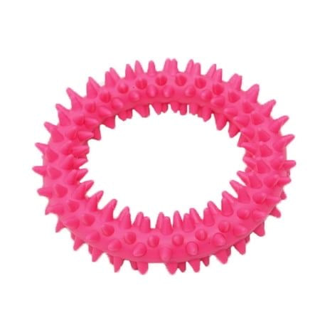 Spiky Chew Toy