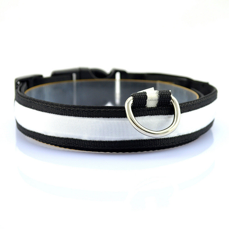 LED Collar