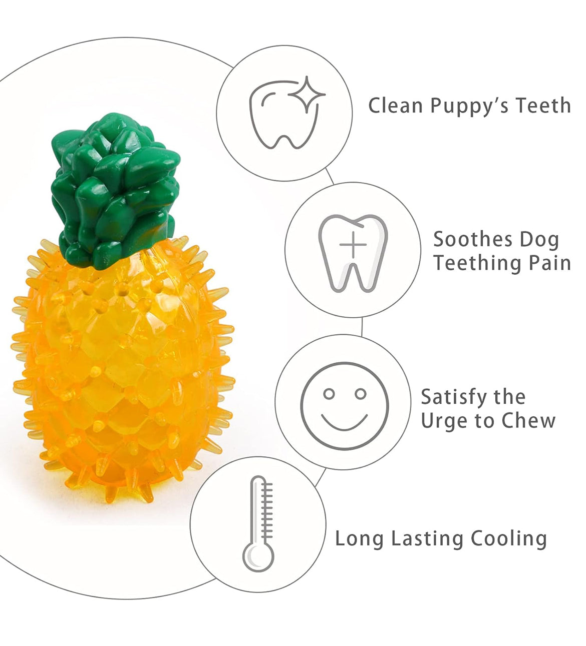 Frozen Fruit Chew Toy