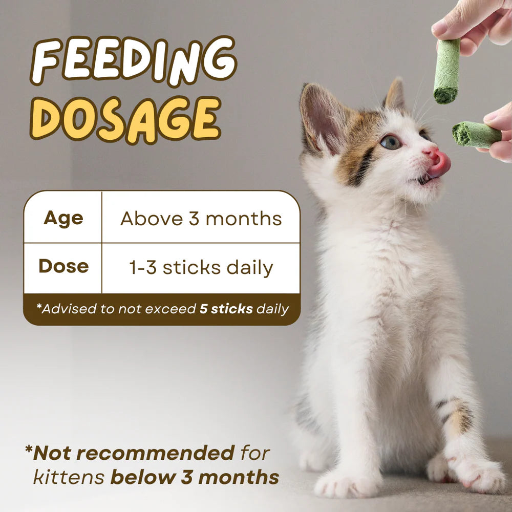 Cat Grass Teething Sticks 6pcs/Bag