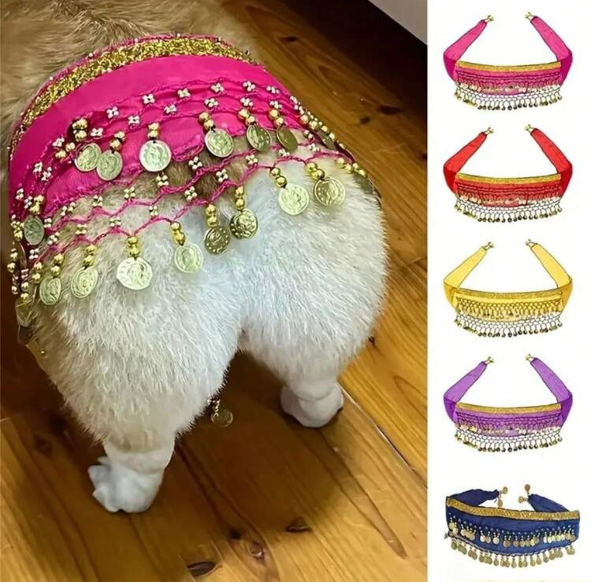 Belly Dance Skirt